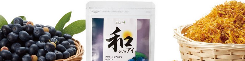 �����N���A�Ȑ��E�ɁI�Ȃ��݃A�C���T�C�g